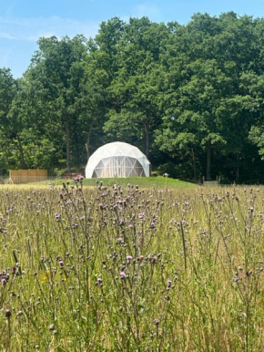 Karkonoski Glamping, Łomnica